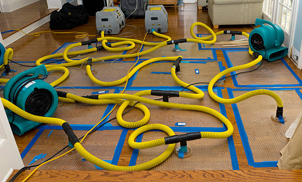 Professional Basement Flood Cleanup technician working in Huntly, VA